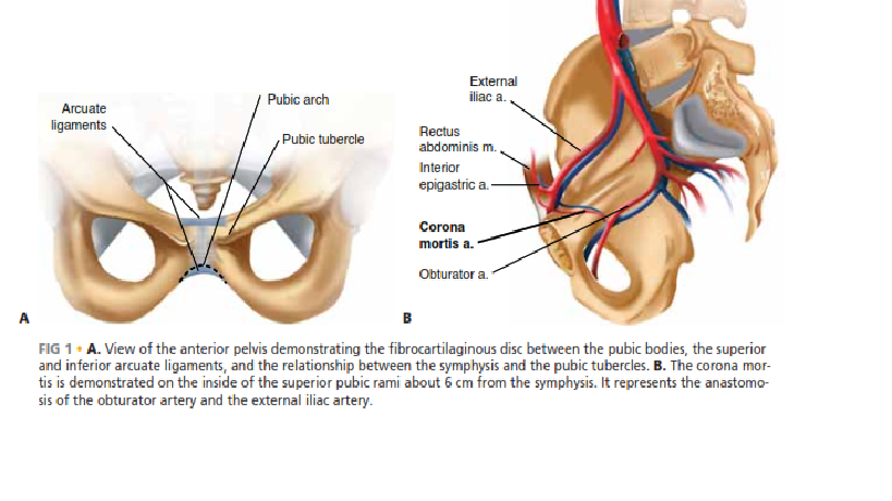 Symphysis Pubic Symphysis: Mastering ORIF for Disruption