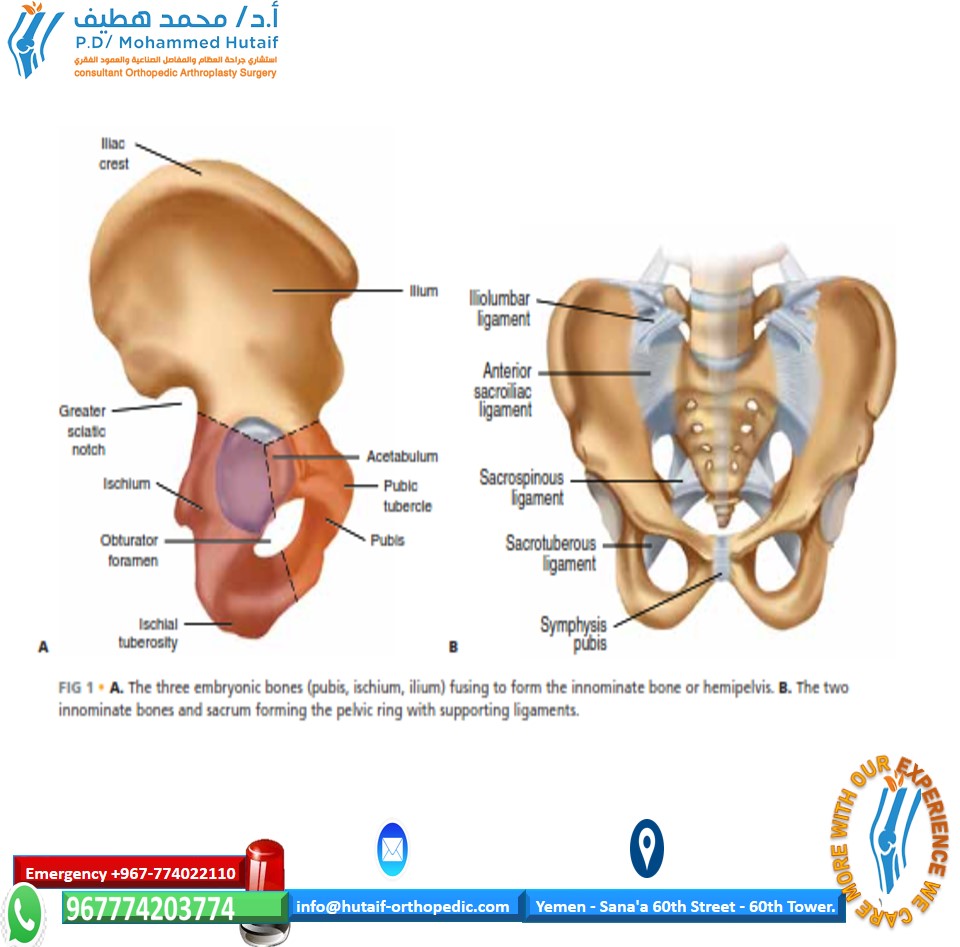 Sacroiliac Joint Fractures: Understanding Causes & Treatment