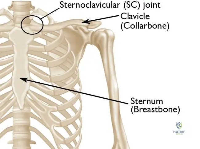 SC Joint Disorders: Causes, Symptoms & Effective Relief