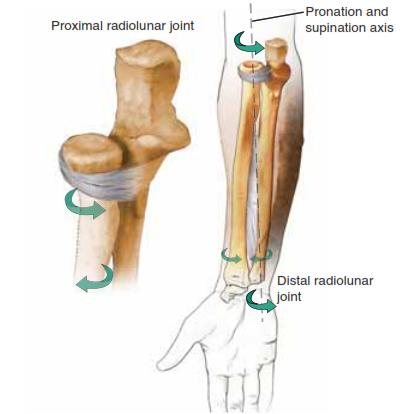 Resolve Radius or Ulna Nonunions: Top Surgical Treatments