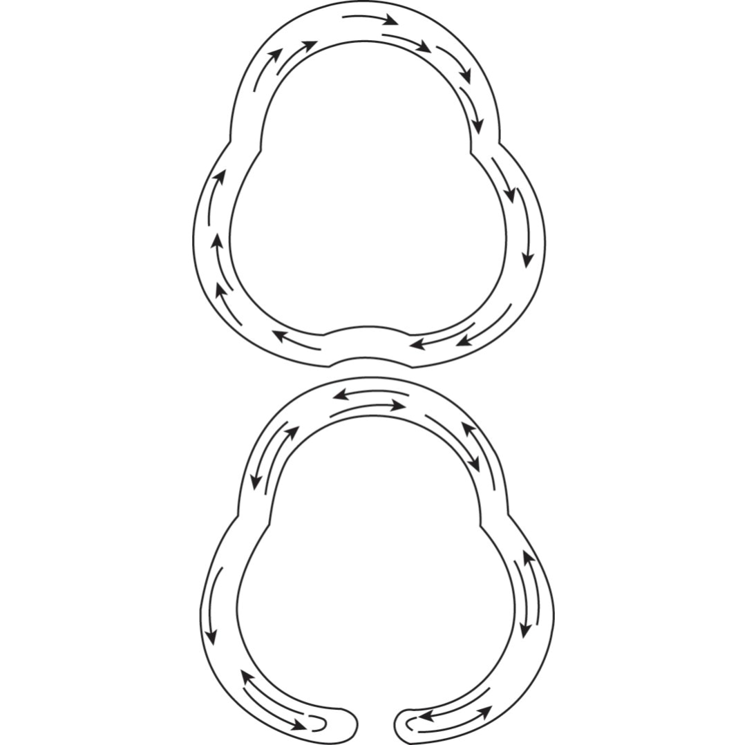 FRCS Exam Success: Why Orthopedic Moment of Inertia Matters