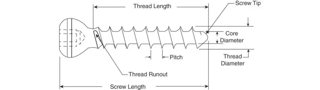 تثبيت مفصل الورك: تخلص من الألم واستعد حياتك بالكامل