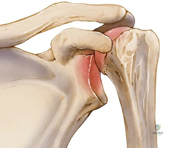 Glenohumeral joint