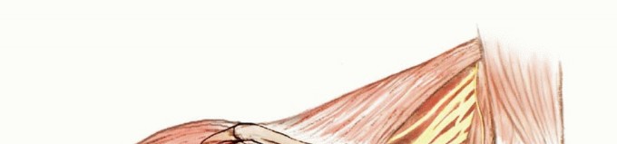 Limb-Sparing Resections Around the Shoulder: Optimizing Outcomes