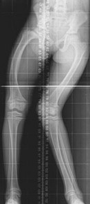 Basic Science Orthopedic Onlin Review | Dr Hutaif Basic -...