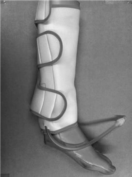 Illustration 16 for Pass Your Basic Sciences Viva: Key Anatomy & Pathology