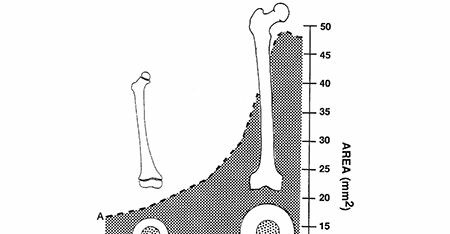 Master Pediatric Femoral Shaft & Knee Fractures: Interactive Module