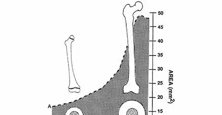 كسور عظم الفخذ ومفصل الركبة عند الأطفال: دليل شامل للآباء ورعاية فائقة مع الأستاذ الدكتور محمد هطيف