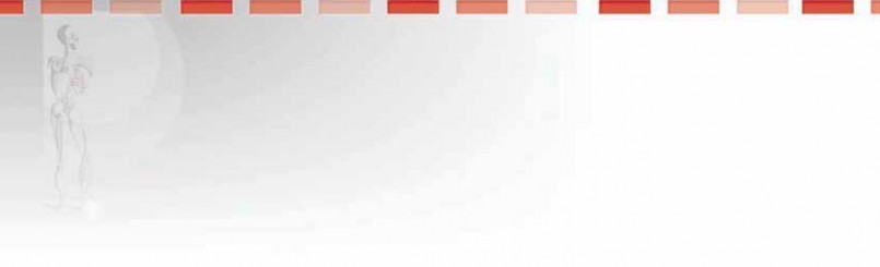 Optimizing Single-Bundle Anterior Cruciate Ligament Repair