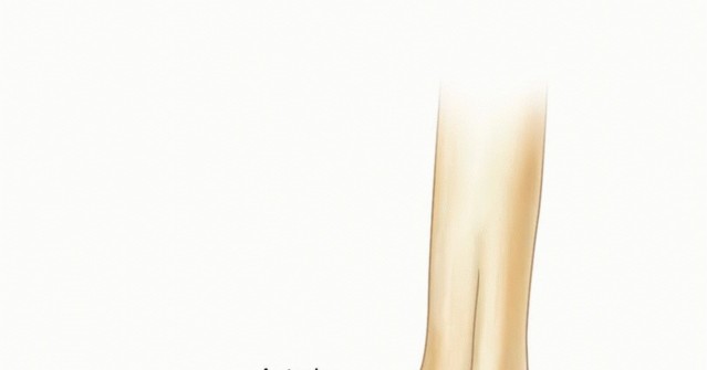 Arthroscopic Fix for Valgus Extension Overload: Get Back in the Game