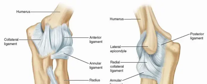 علاج تحديد حركة الكوع بالمنظار: استعيد حريتك في الحركة مع الدكتور محمد هطيف