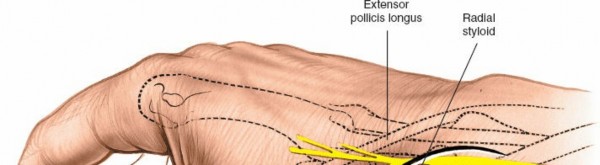 Excellent & Safe Approach to the Scaphoid: Dorsolateral Mastery