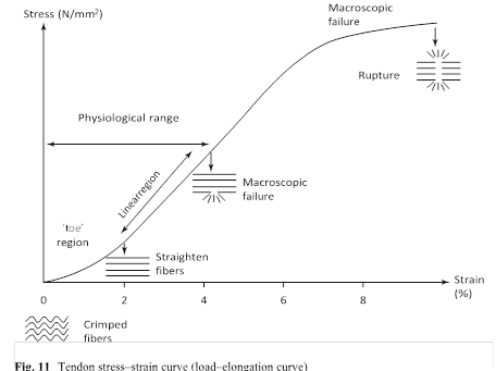 Illustration 12 for Decoding Von Willebrand Factor: Fundamental Basic Science Principles