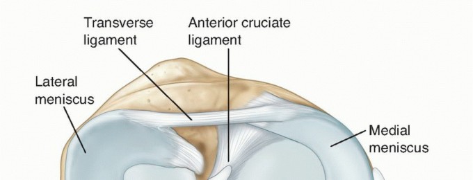 Symptomatic Knee? Meniscal Transplant for Anterior & Posterior Horns