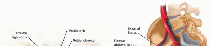 Achieve Stable Fixation of the Symphysis: Open Reduction