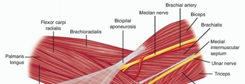 Extrinsic Contracture Release: Medial Over-the-Top Approach