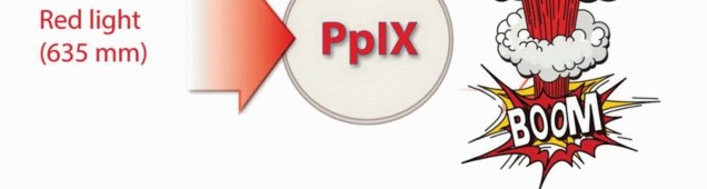 صورة توضيحية لـ الاستئصال الموجه لأورام الجهاز العضلي الهيكلي: نهج أكثر أمانًا وفعالية مع الأستاذ الدكتور محمد هطيف