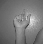 Anatomy Orthopedic Review | Dr Hutaif Basic Science Rev -...