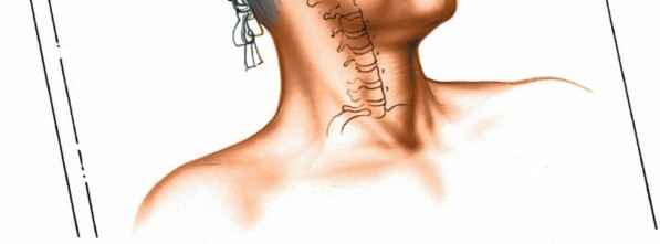 Illustration 2 for Mastering the Anterior Cervical Approach: Longus Colli Muscle Insights
