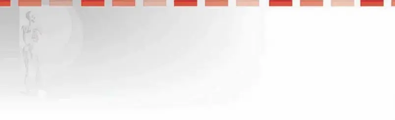 صورة توضيحية لـ تحرير العضلات الضامة وعضلات الإليوبسواس: دليل شامل للمرضى لاستعادة حركة الفخذ والأمل