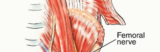 توضيح طبي: جراحة نقائل الحوض: حل شامل لآلام العظام واستعادة الحركة مع الأستاذ الدكتور محمد هطيف