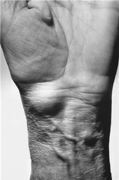 Illustration 3 for Master Hands and Paediatric Orthopaedics: Diagnose & Treat