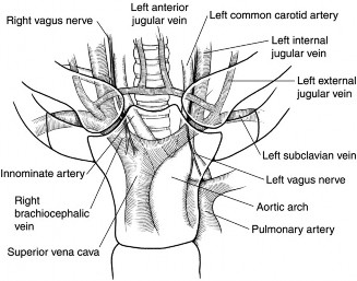 Illustration 51 for Right Shoulder Pain? Avoid This Common X-ray Mistake.