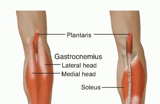 Open Achilles Tendon Repair: Your Comprehensive Guide