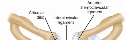 خلع المفصل القصي الترقوي: دليلك الشامل للتعافي بأمان مع الأستاذ الدكتور محمد هطيف
