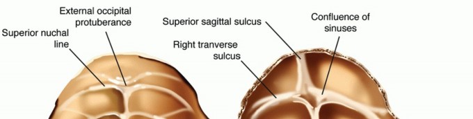 Occipitocervical & C1-C2 Fusion: Transarticular Screw Fixation Guide