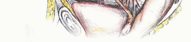 وصف طبي دقيق للمريض