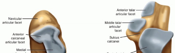 Mastering Posterior Subtalar Joint Arthroscopy: What You Need to Know