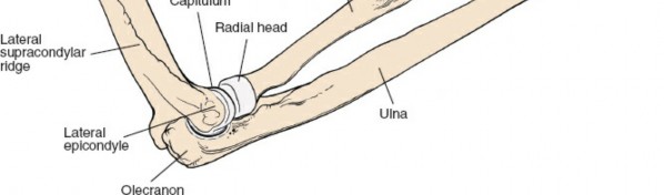Illustration 86 for Mastering Approaches to the Upper Third of the Radius