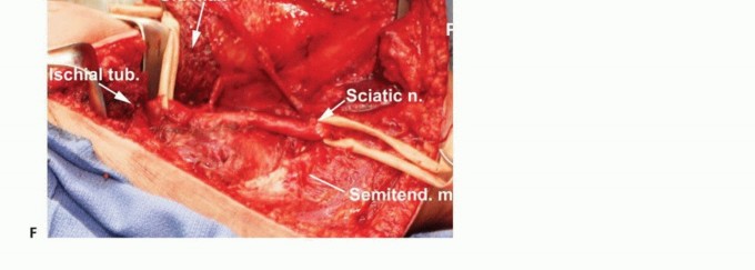 وصف طبي دقيق للمريض