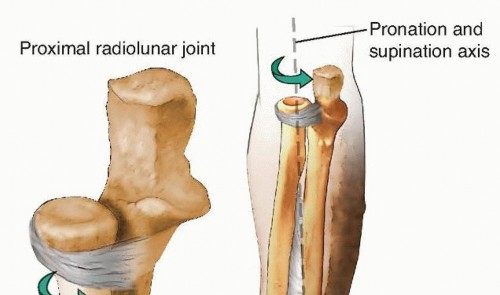Mastering Operative Treatment of Radius & Ulna Nonunions