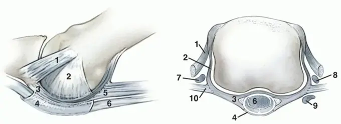 تمزق صفيحة القدم اللفافة (البلانتر): دليلك الشامل لراحة قدميك في اليمن والخليج