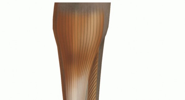 End Chronic Achilles Pain with Hallucis Longus Transfer