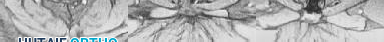 Orthopedic Spine: Every crucial question of clinical practice.
