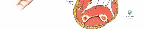 Clinical Image