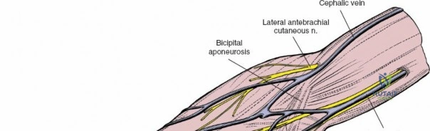 Clinical Image