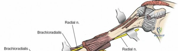 Clinical Image