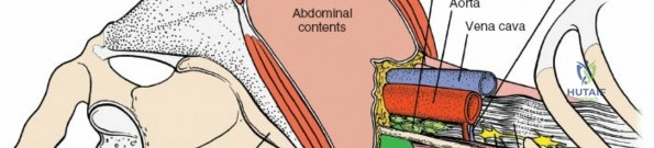Clinical Image