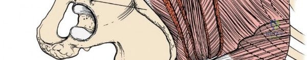 Clinical Image