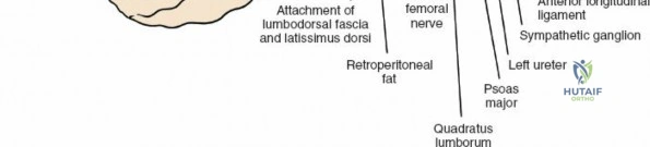 Clinical Image