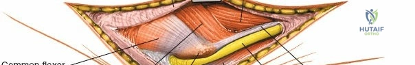 Clinical Image