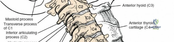 Clinical Image
