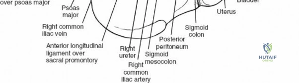Clinical Image