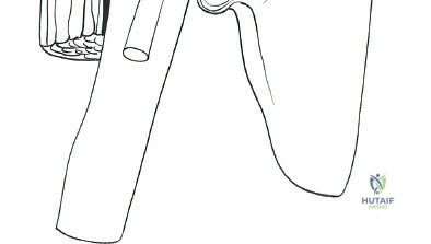 Clinical Image