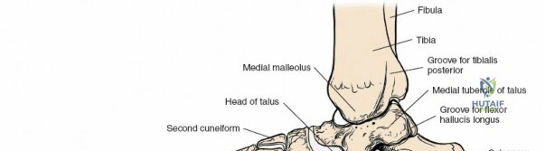 Clinical Image