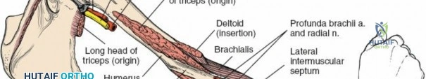 Clinical Image